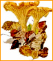 Visit our wild mushroom art blog for latest news
