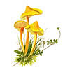 Yellow waxcaps, mushroom greeting cards from watercolour paintings by Peter Thwaites