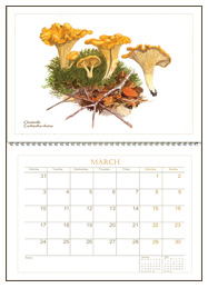 Mushroom art Calendar 2025